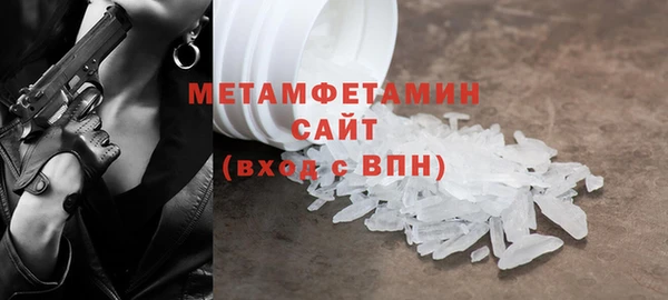 прущие грибы Надым