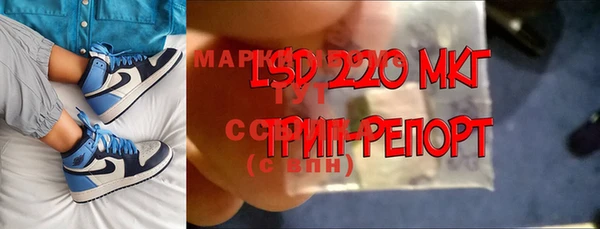 прущие грибы Надым