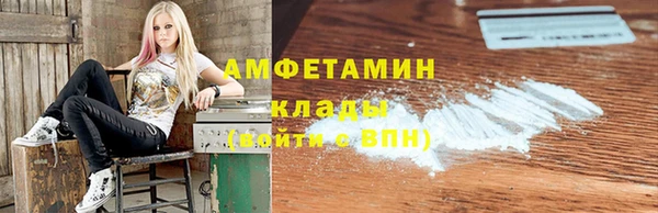 прущие грибы Надым