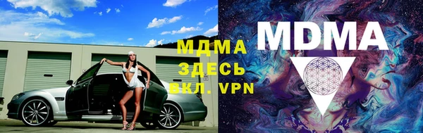 прущие грибы Надым