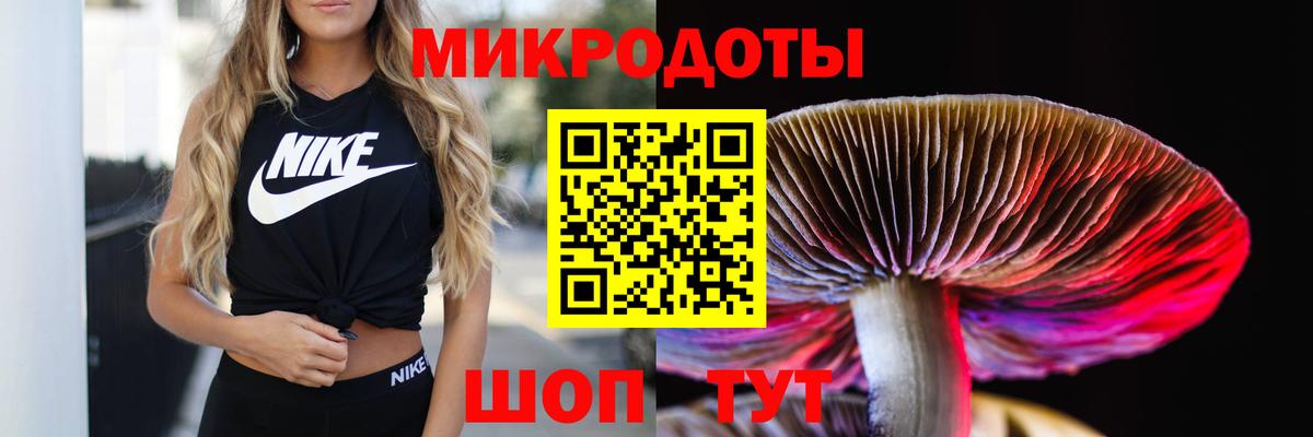 Псилоцибиновые грибы мицелий Лосино-Петровский